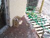 IMG_0226.jpg